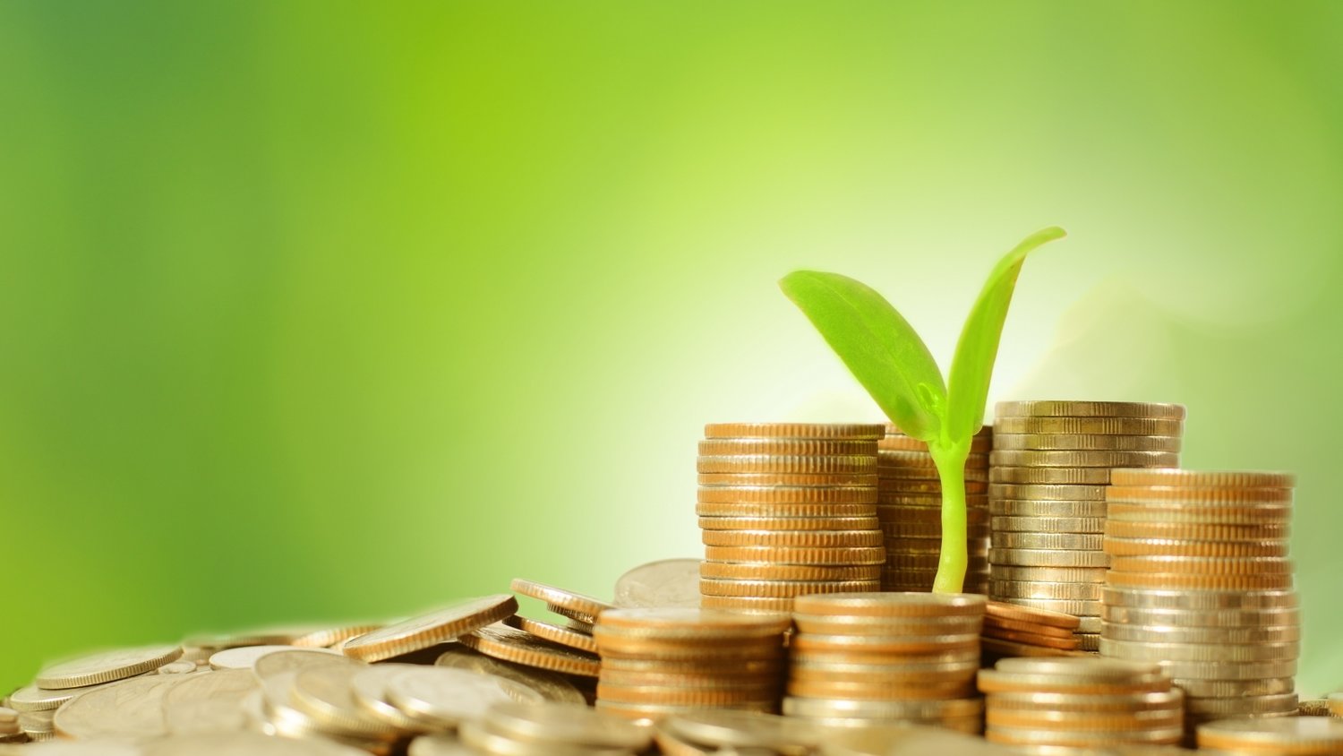 美股涨势背后的隐忧:奇异期权成为投资者的关注焦点